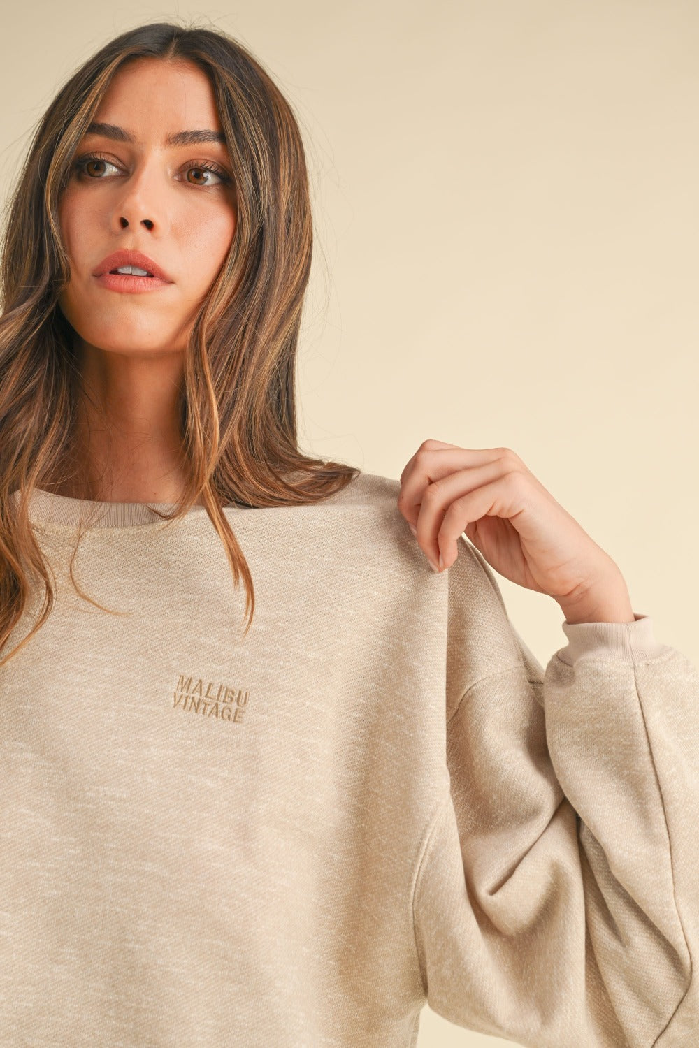 Echoes of Tranquility Neck Letter Embroidery Crop Sweatshirt