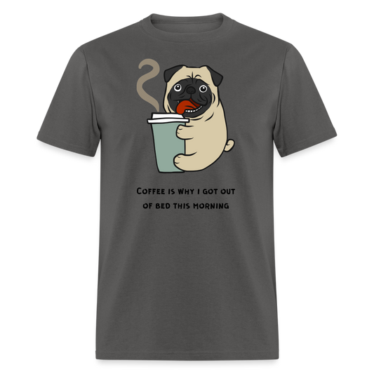 Unisex Classic T-Shirt - charcoal